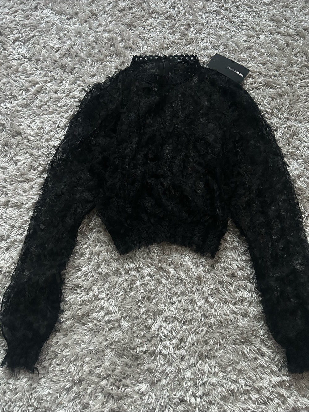 Fashion Nova Black Sheer Lace Long Sleeve Crop Top